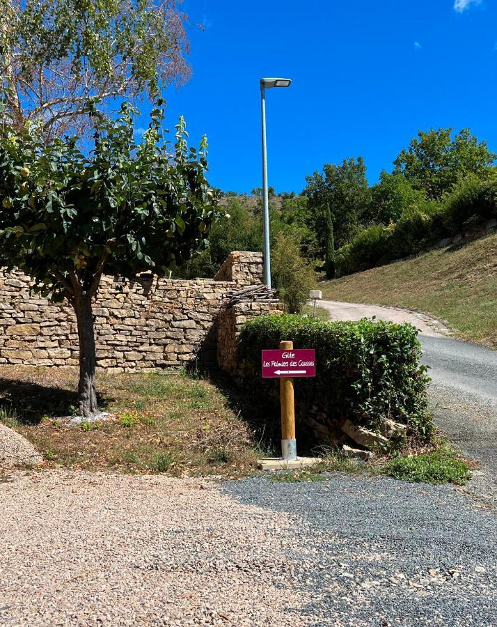 Chambre Au Calme Avec Spa Privatif Gratuit Sud Aveyron Les Palmiers Des Causses Saint-Rome-de-Tarn Exteriör bild