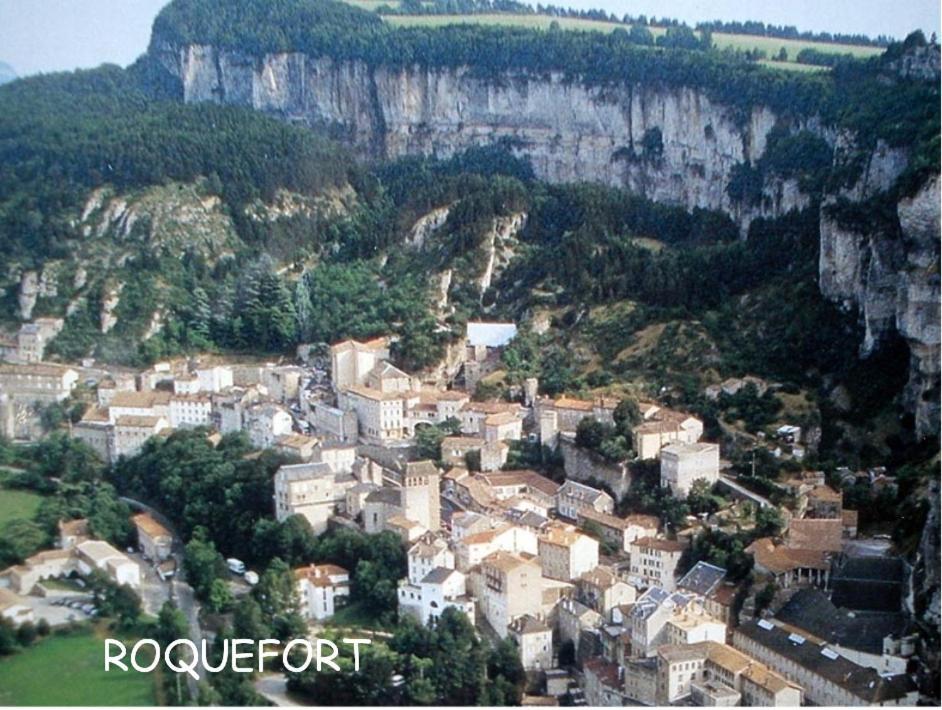 Chambre Au Calme Avec Spa Privatif Gratuit Sud Aveyron Les Palmiers Des Causses Saint-Rome-de-Tarn Exteriör bild